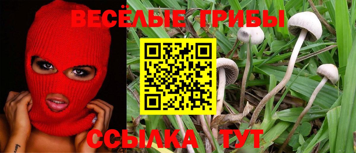 Псилоцибиновые грибы GOLDEN TEACHER  Псилоцибиновые грибы ЛСД  Красногорск  Вход с VPN 